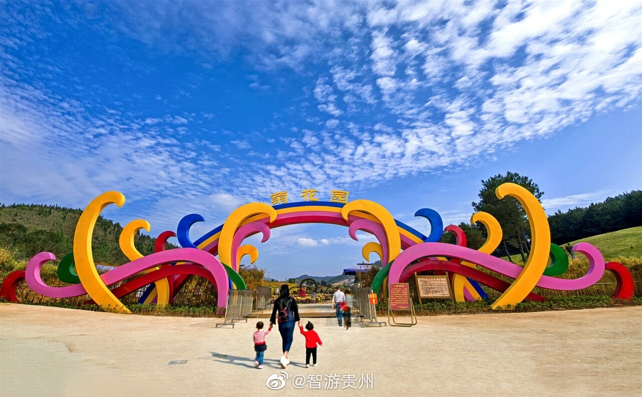 麻江网站seo优化公司