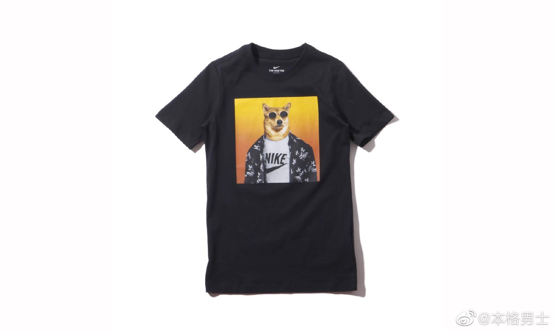 号称"世界上最时尚的狗"的bodhi 柴犬最近出现在nike新推出的两款t