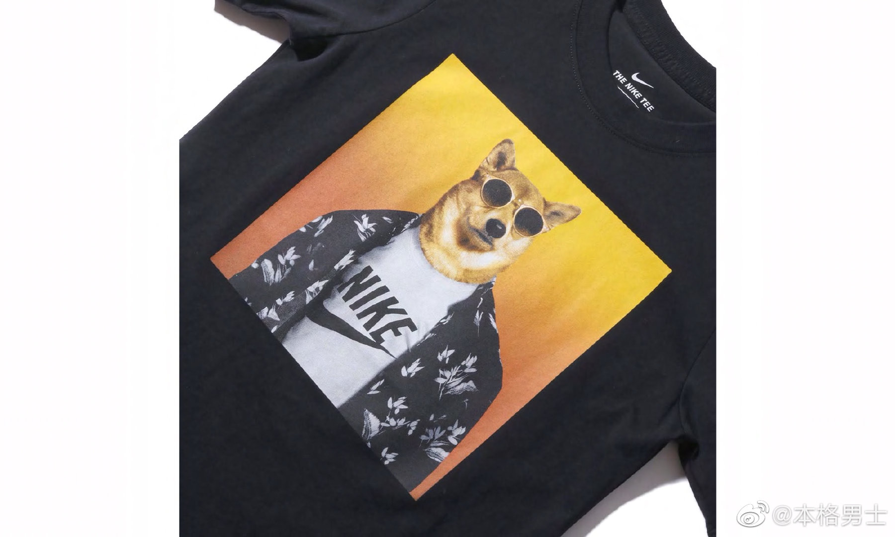 号称"世界上最时尚的狗"的bodhi 柴犬最近出现在nike新推出的两款t