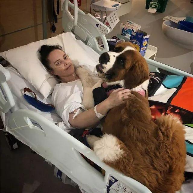 狗狗|主人|爱犬_新浪网