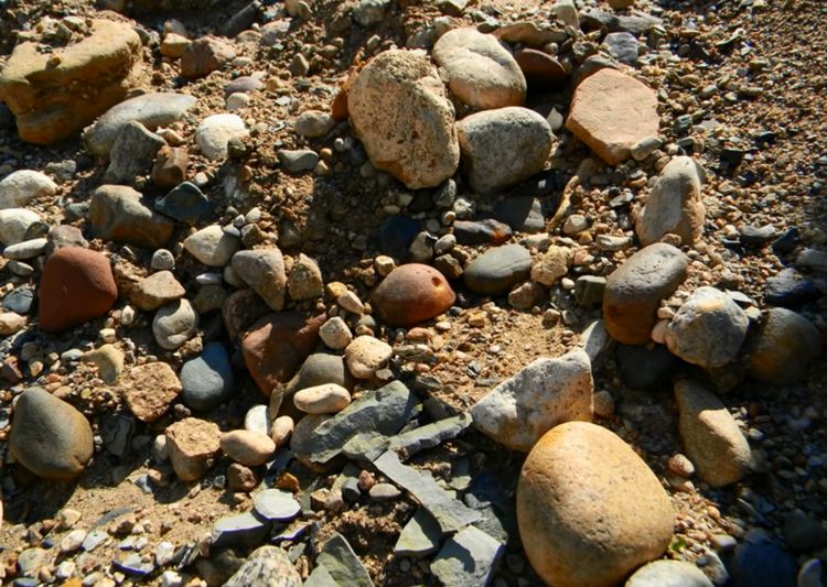 男子野外捡小石头回来收藏, 清洗完, 让人眼前一亮