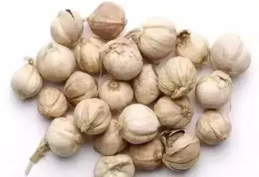 50种香料介绍和特点,建议收藏|去腥|香味|香料_新浪新闻