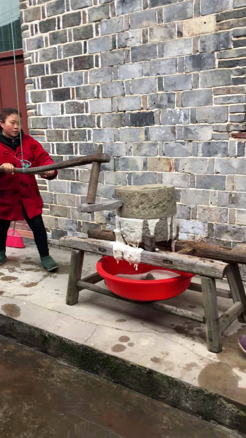 回家的第二天,帮家里人推磨子