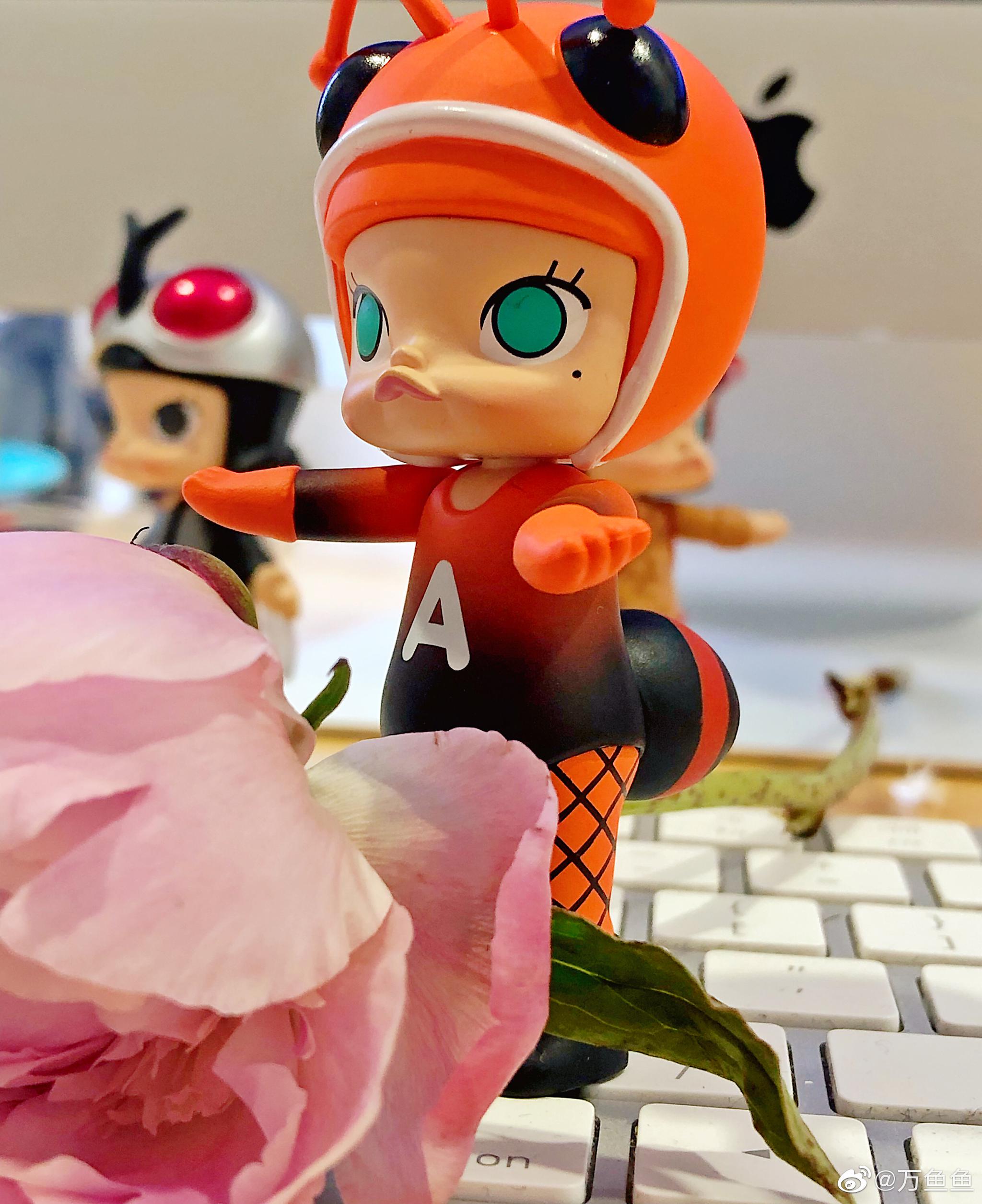 工作室的芍药开了,引来了一群可爱的小昆虫.@popmart泡泡玛特