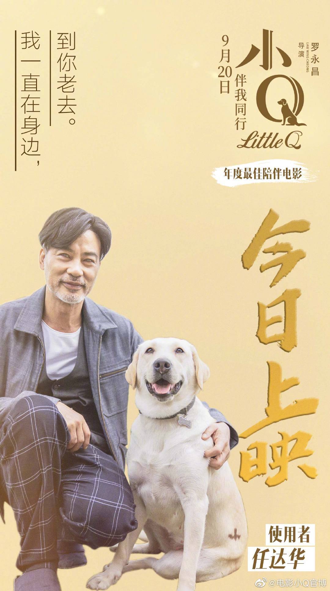 由@任达崋 @梁咏琪 @罗仲谦 等主演的电影《小q》今日上映