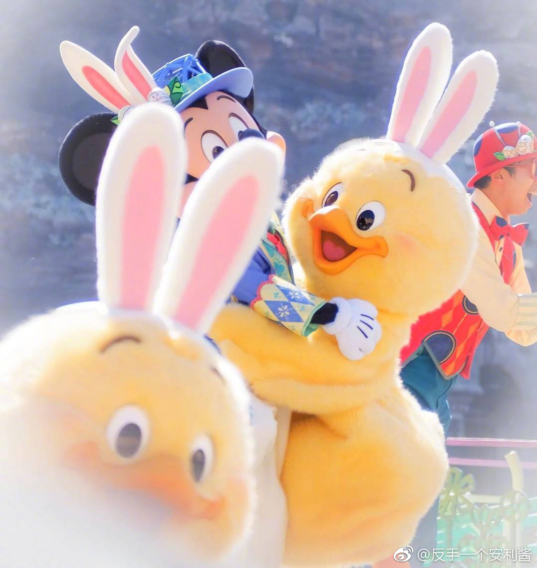 东京迪士尼今年春季最新推出的卡通角色兔耳小鸡登场啦