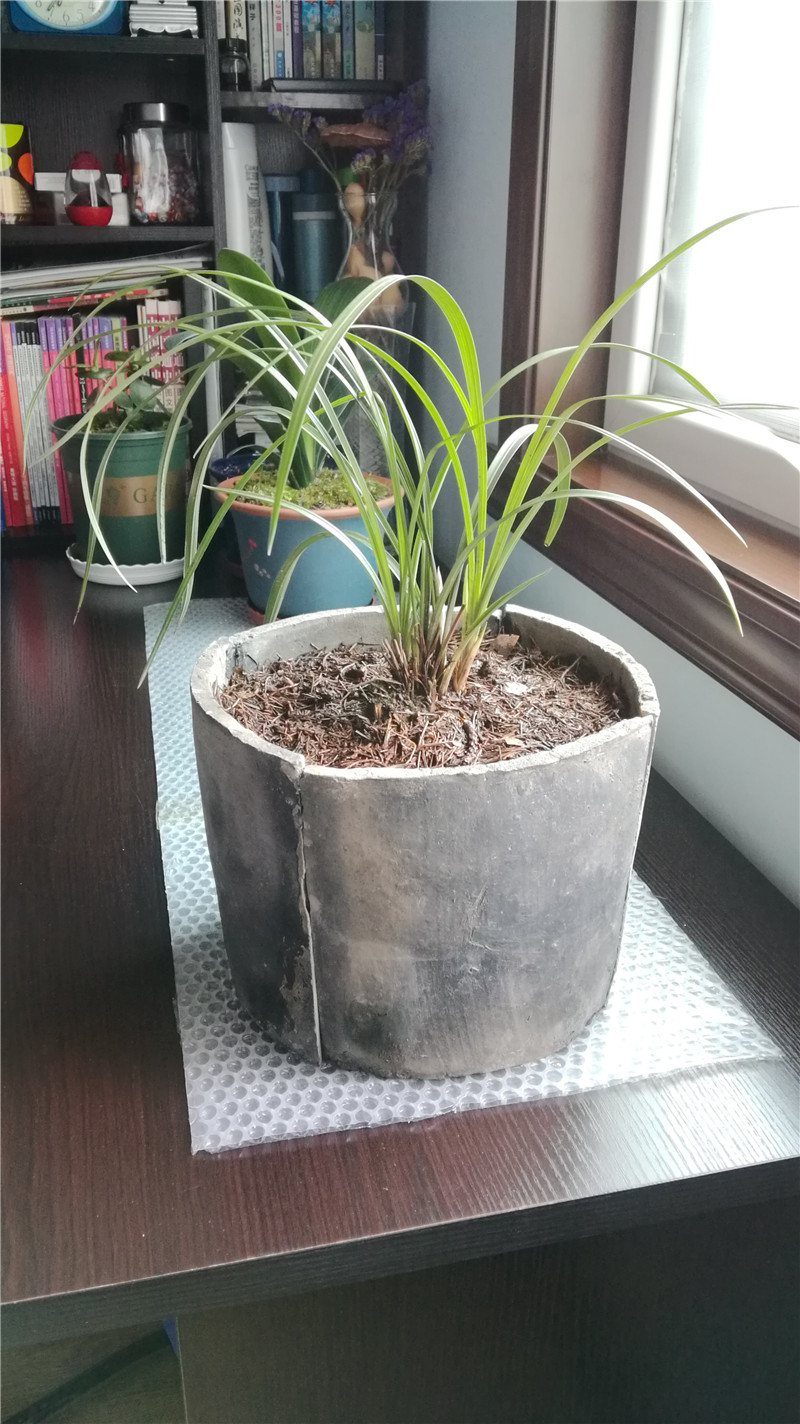 养花新乐趣:"瓦片"作花盆,排水又透气,省一笔小钱!