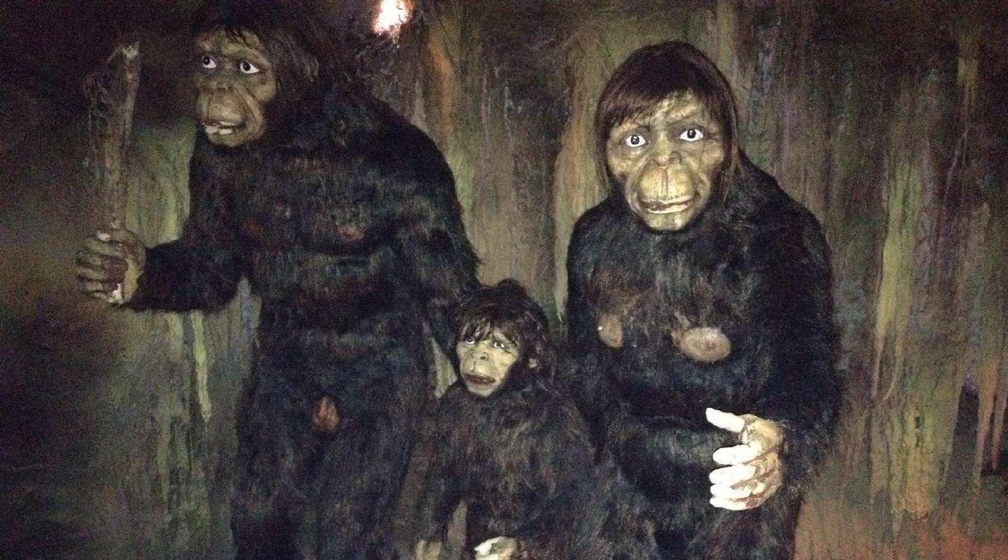 野人真的存在吗?云南一村民声称捉到野人!