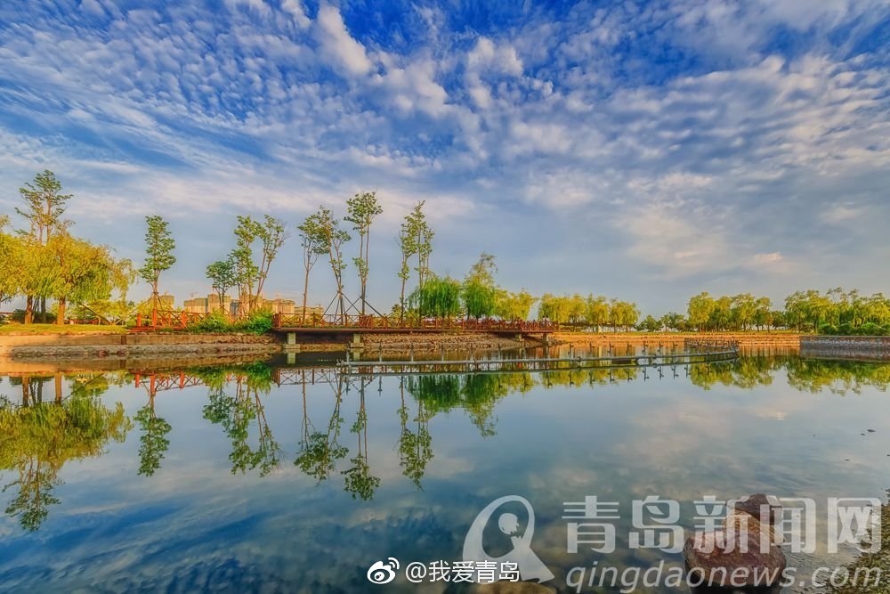 青岛唐岛湾湿地公园获评"国家级" 四季美景看不够
