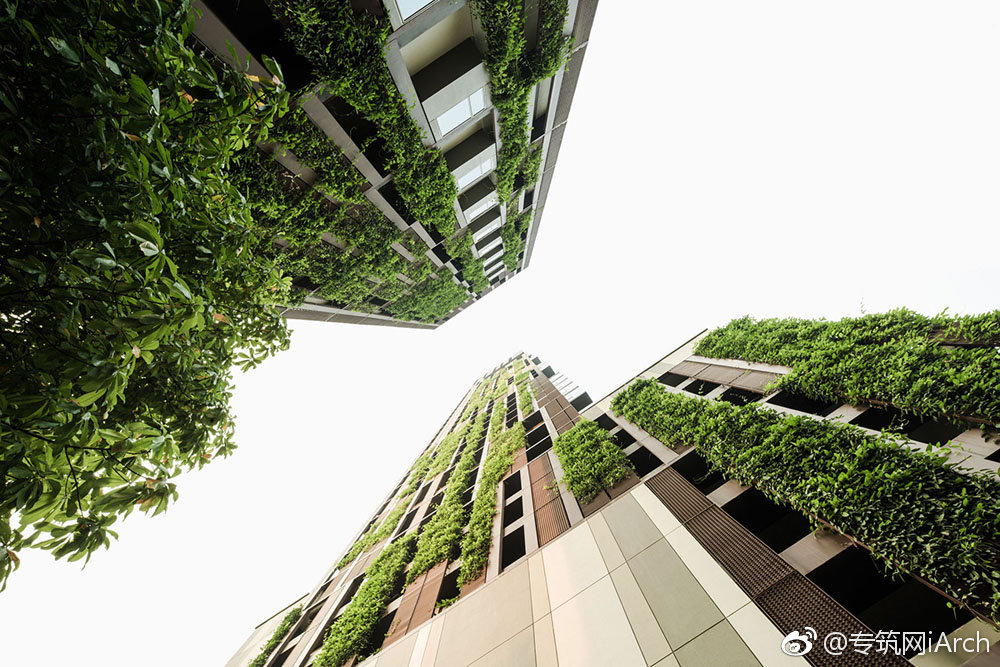 高层住宅的垂直绿化:"集成"是一种设计策略