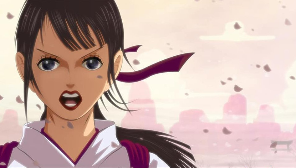 和之国小菊绝美图片奉上