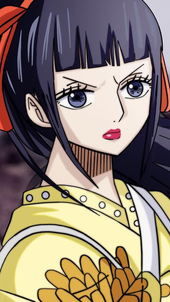 和之国小菊绝美图片奉上