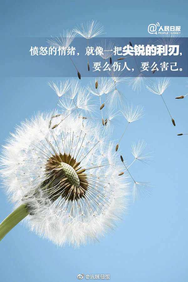 从今天起你该学会做一个情绪稳定的成年人了