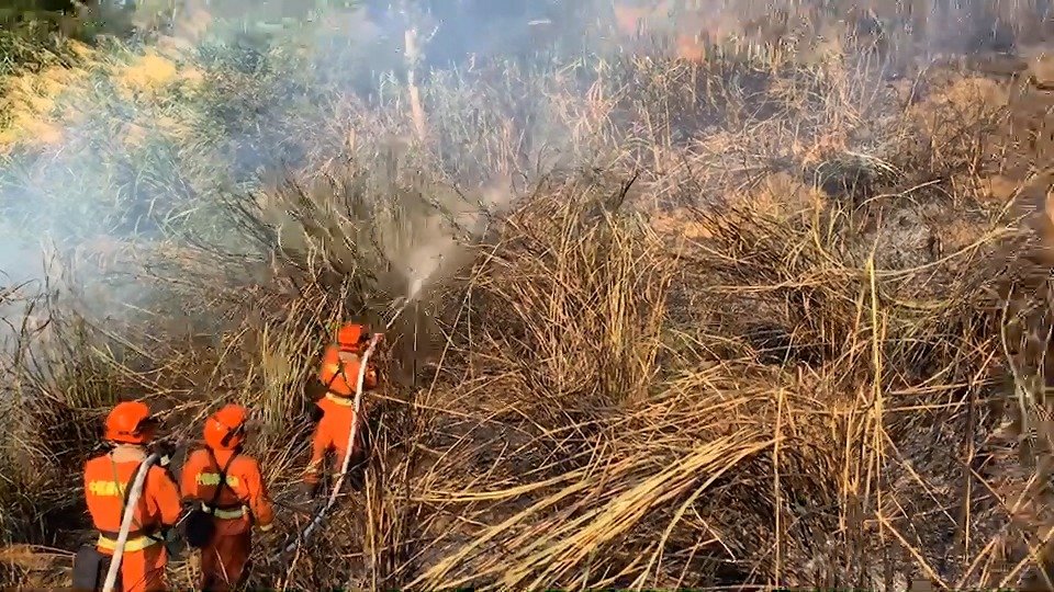 南平突发森林大火 200亩山林被烧 大火已被扑灭|火场_新浪新闻