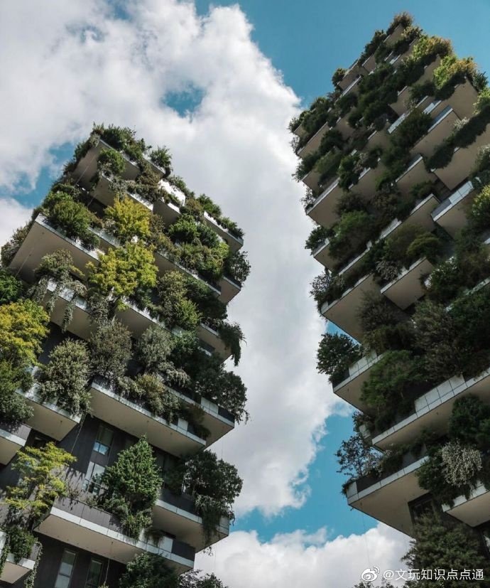 意大利米兰的公寓"bosco verticale",两栋楼超过900多棵树