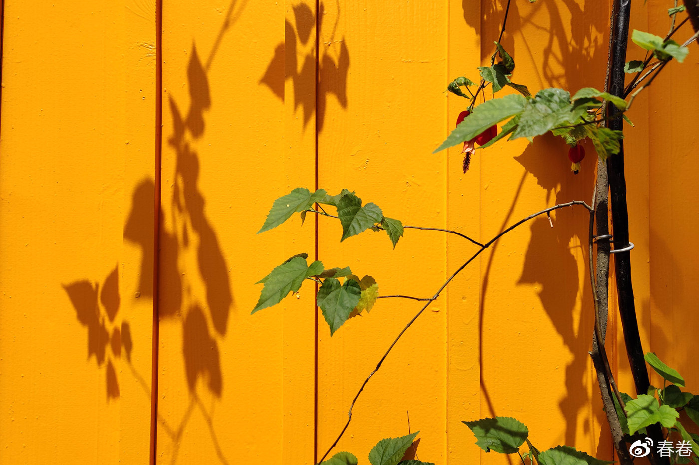 这才是我想给你们看的一加7 pro东京壁纸集!