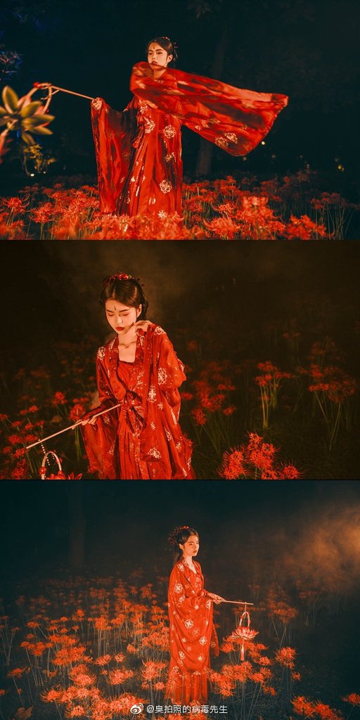 黄泉路上 忘川河畔彼岸花开 曼珠沙华叶不了花 望乡台前三生石旁