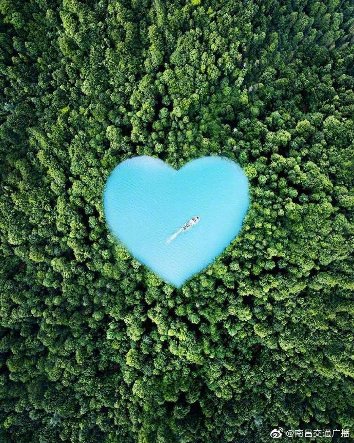 来自地球母亲的表白