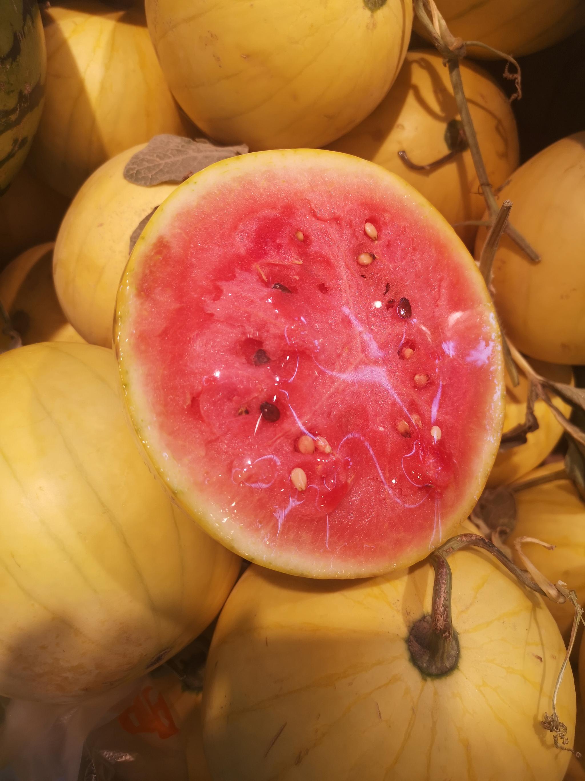 和田地区的西瓜本地产的有一种叫黄金瓜皮是金黄色的