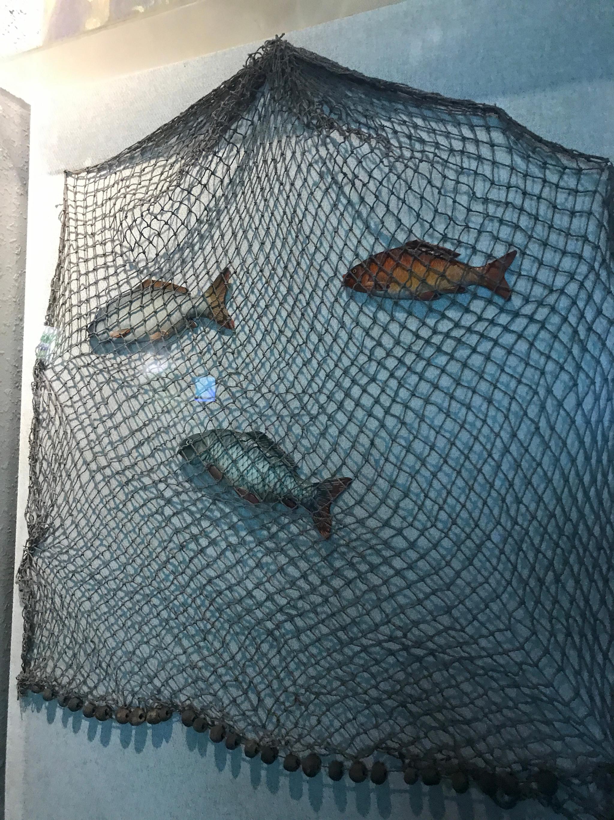 山城等处出土的石器和陶器,没有准确断代