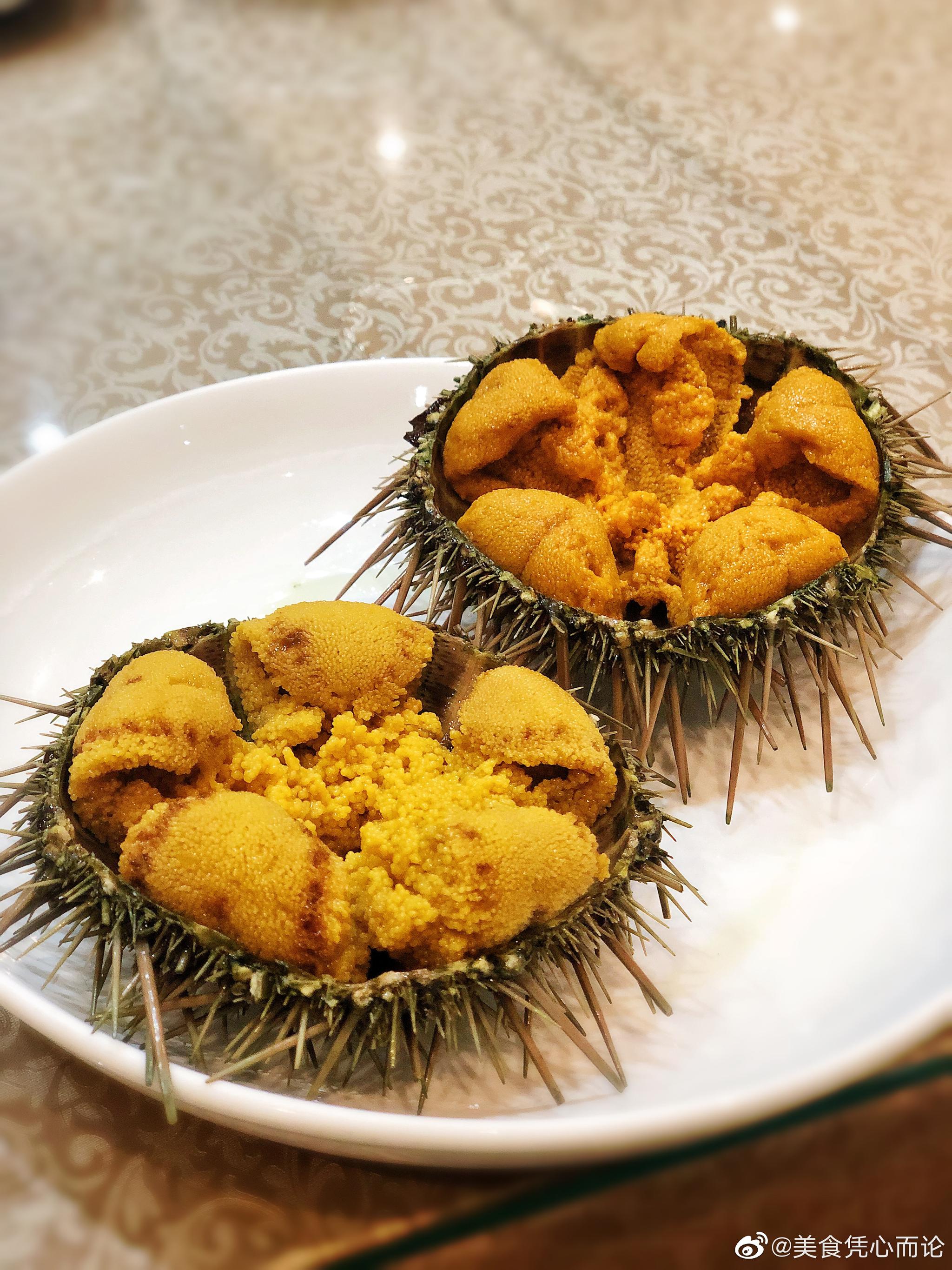 大连最厉害的海胆馆子,这海胆一个顶五个太么大了,肉巨厚|海胆|馆子|