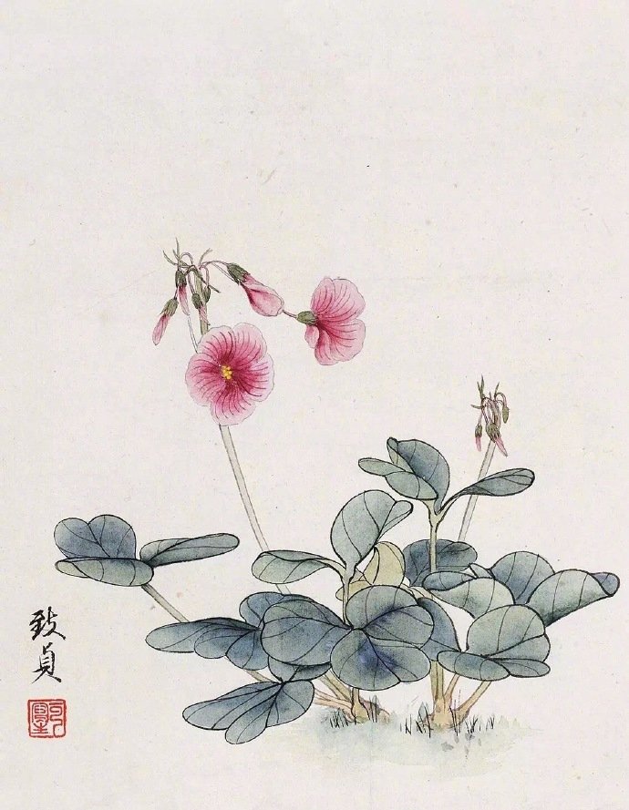 俞致贞工笔写生