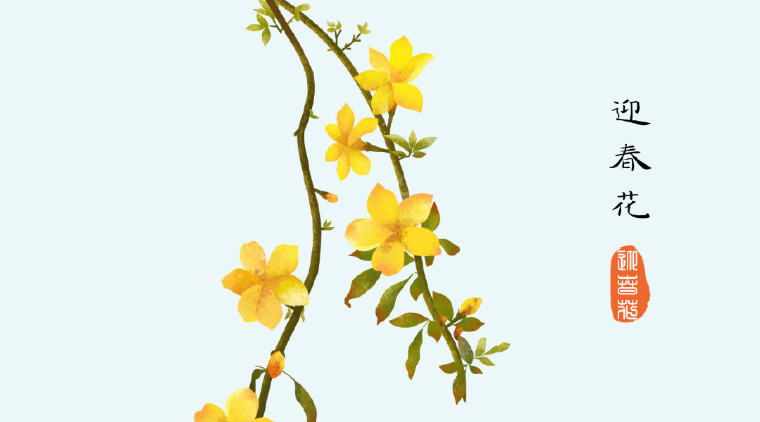 春暖花开,画一支迎春花.