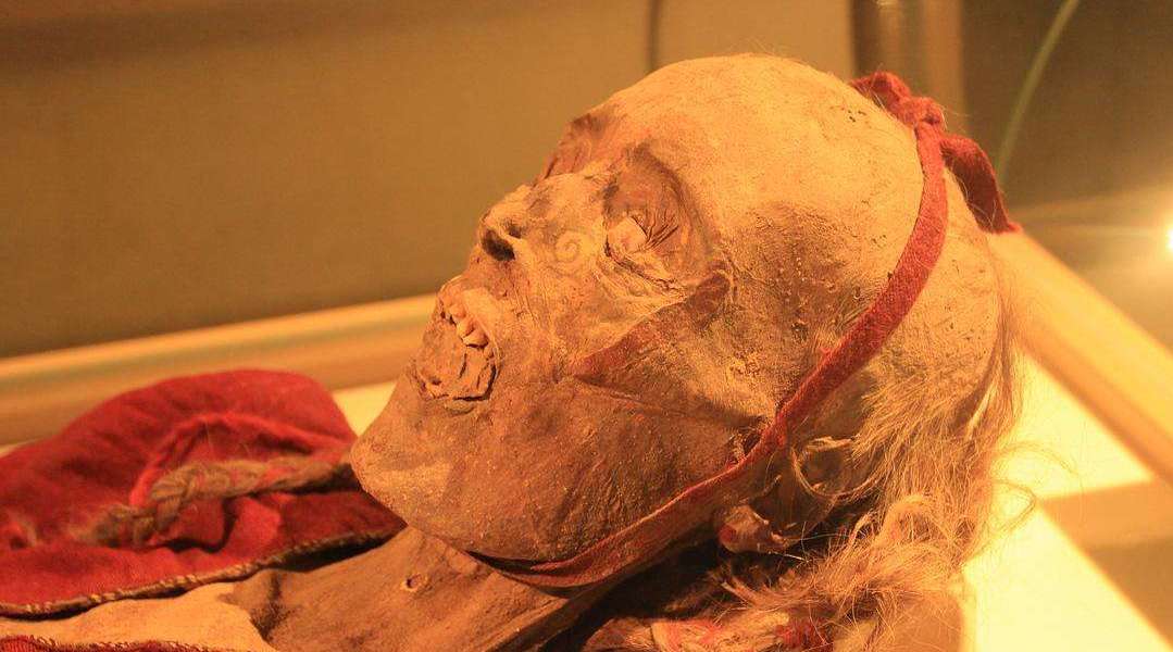 百年女尸在墓中怀孕?面目狰狞死亡惨烈,棺盖上还有指甲印!