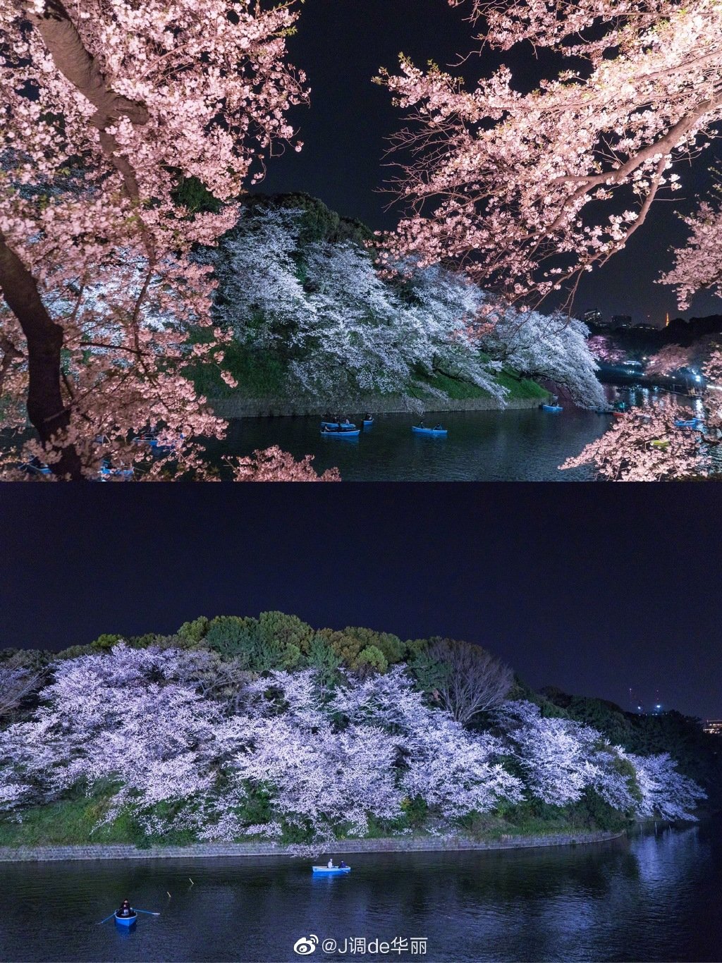 六义园、目黑川、千鸟渊、日本桥江户樱花隧道……在东京的夜晚|目黑川|千鸟渊|六义园_新浪新闻
