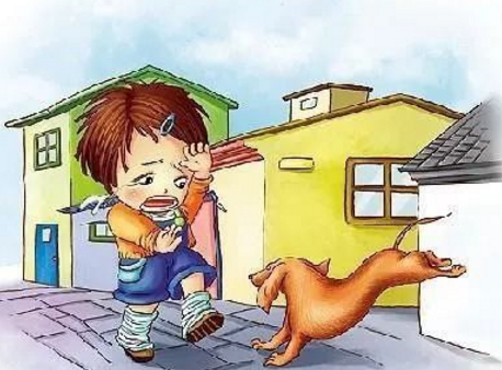 怕狗的人在这几种情况下,遇到狗怎么办?