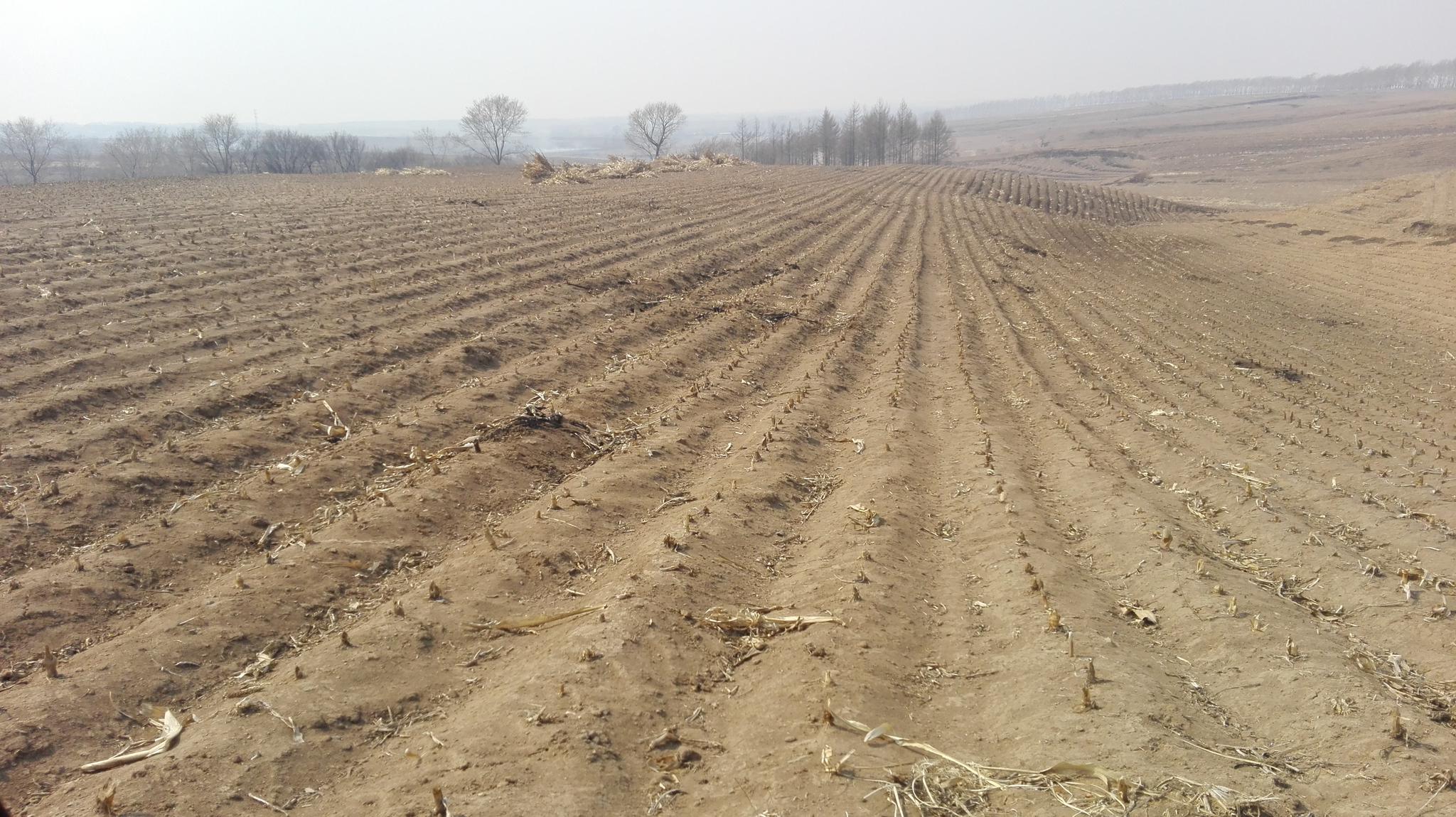 农村土地可以永久使用?三大永久性要注意,两类人土地将会被收回