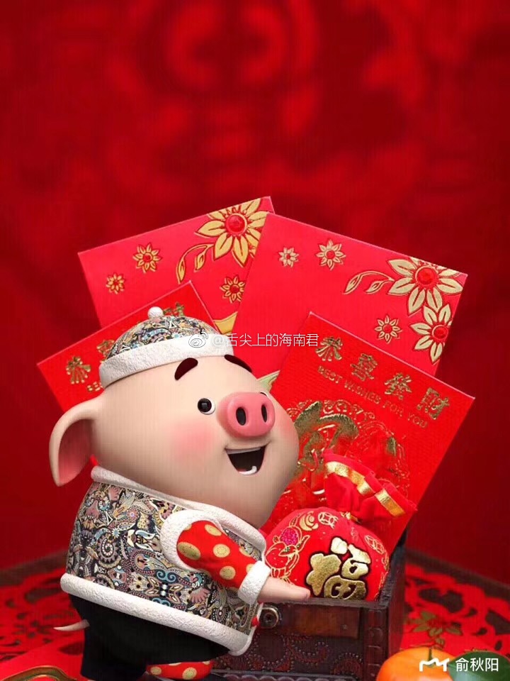 给你们拜年了看看哪只猪猪更适合你哦