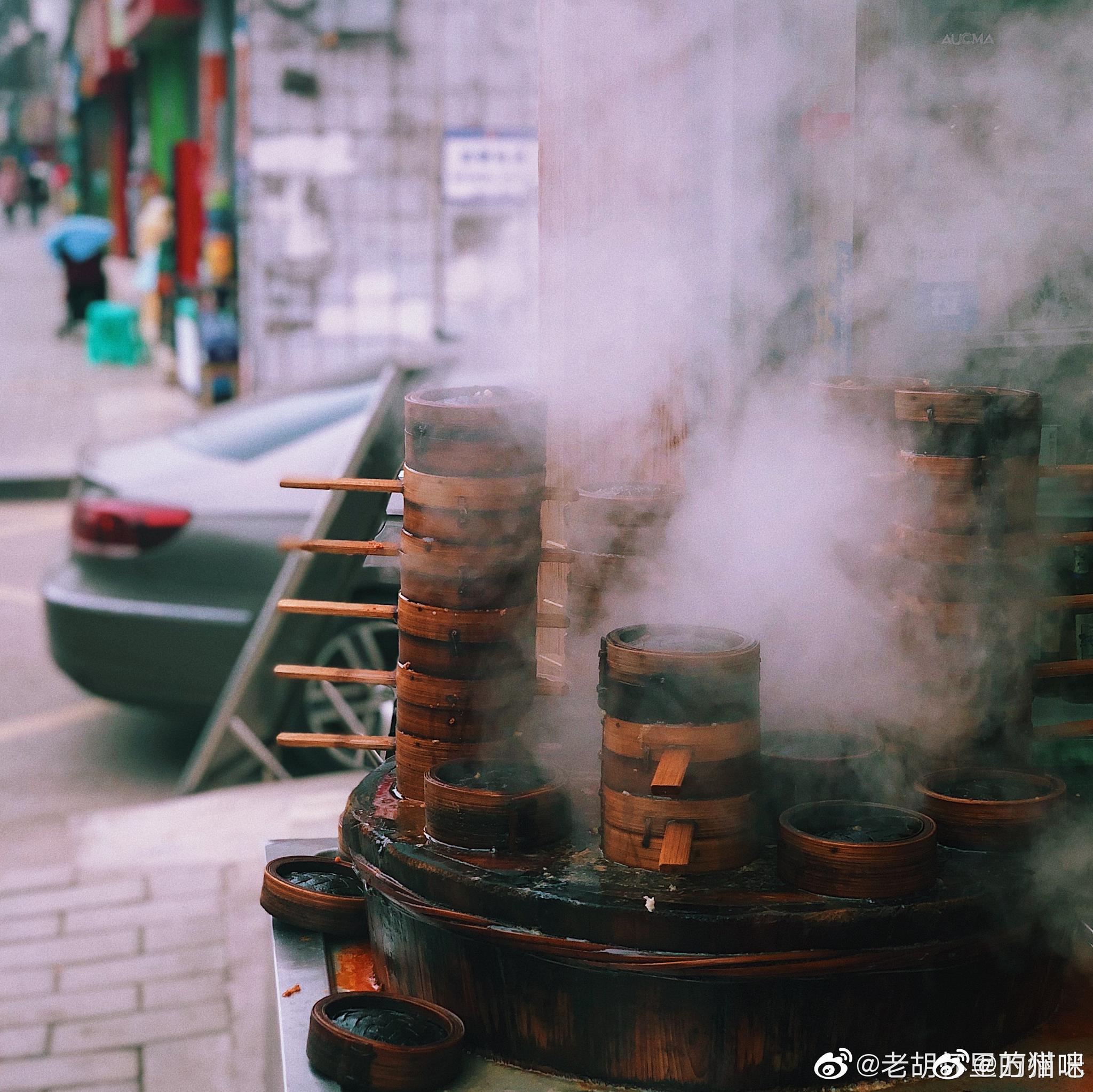 那人間煙火的氣息,早已藏進了四方食事裡. 圖@老胡懷裡的貓咪