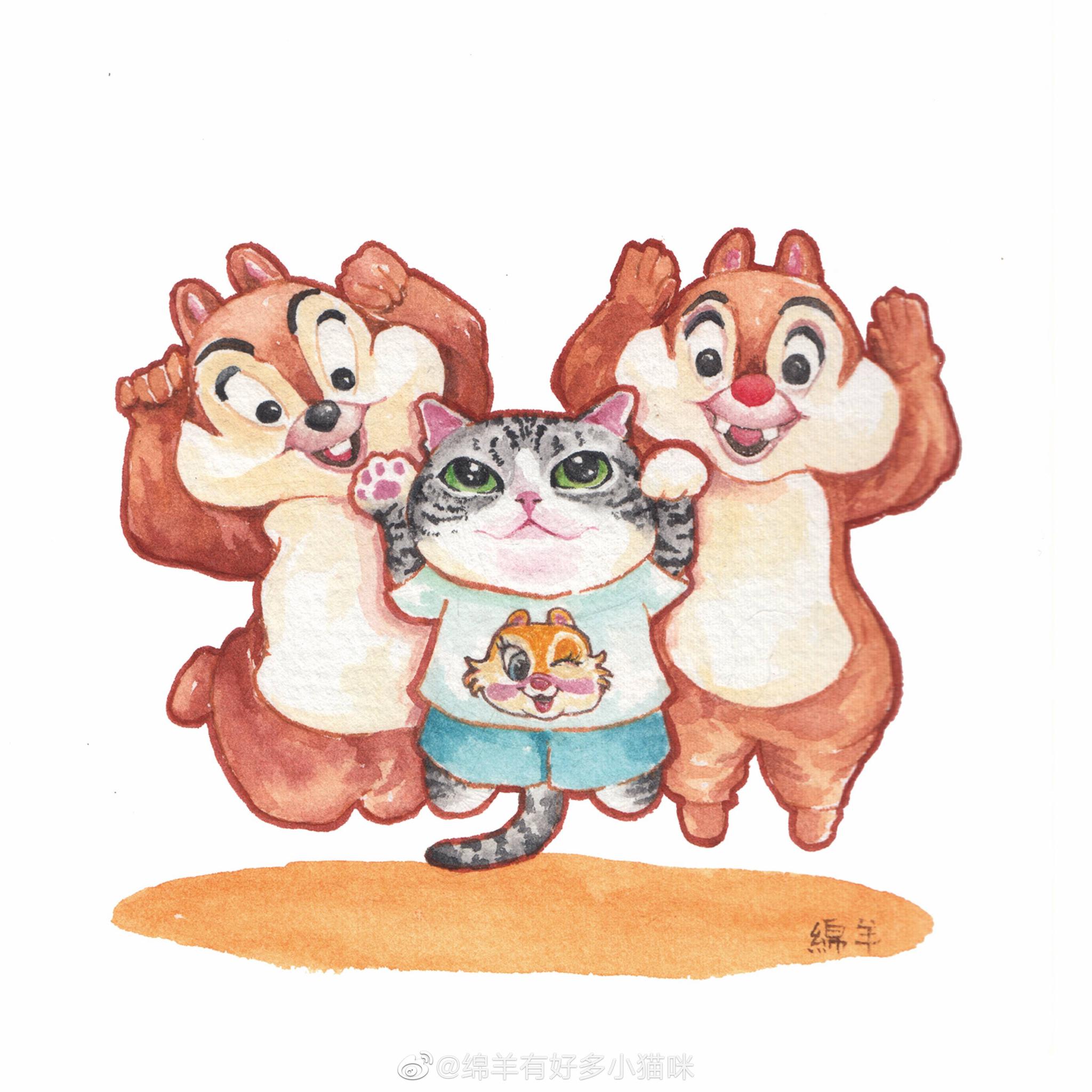 迪士尼乐园里幸福的猫投稿作者绵羊有好多小猫咪