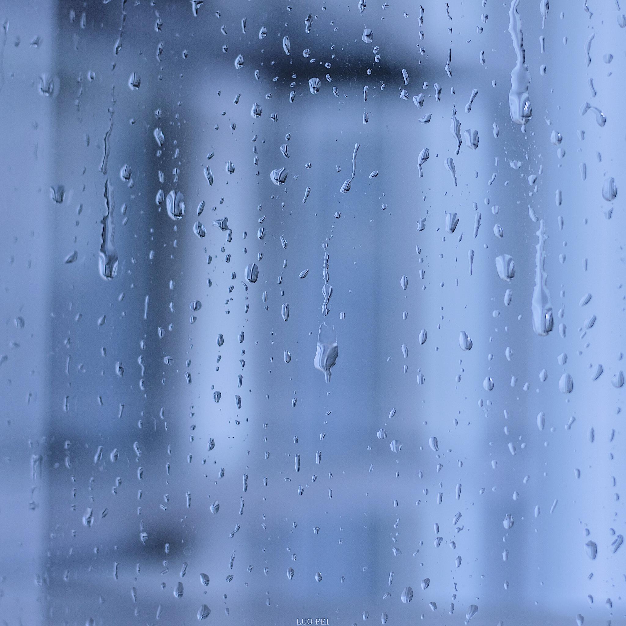 我听见雨滴落在青青草地.推荐@罗飞同学