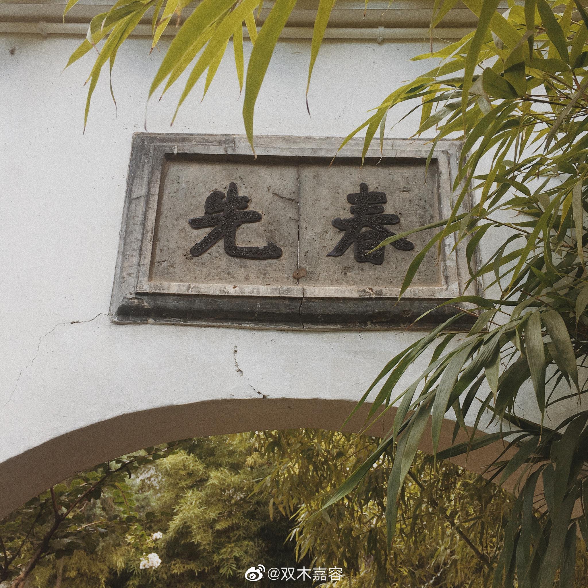 在记忆碎片中追寻真实