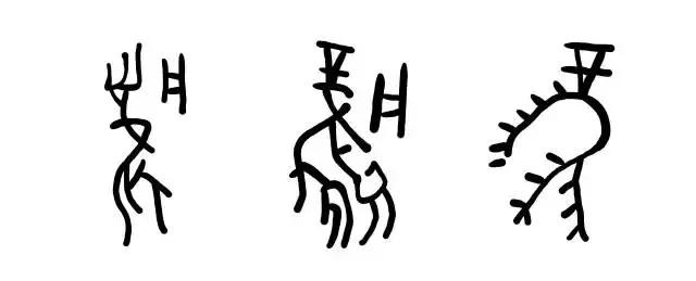 甲骨文|汉字|伏羲_新浪新闻