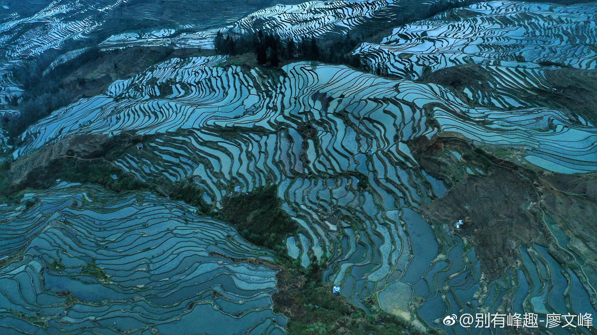 今晨云南元阳梯田航拍 @新浪旅游