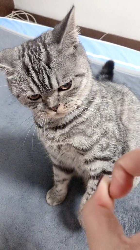 眼神中充满了愤怒