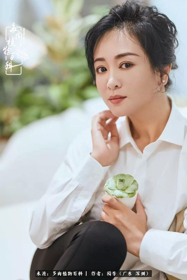 当美女婚纱设计师遇上多肉竟擦出了爱的火花