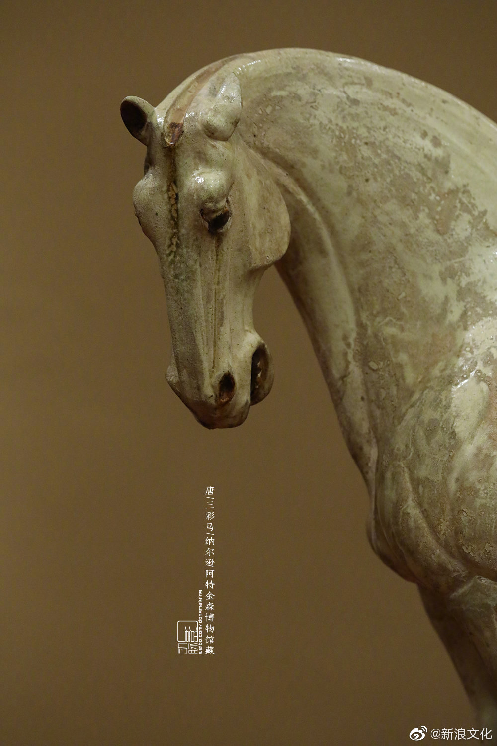 唐代对马的体态,表情的揣摩和表现已是巅峰 by:@动脉影