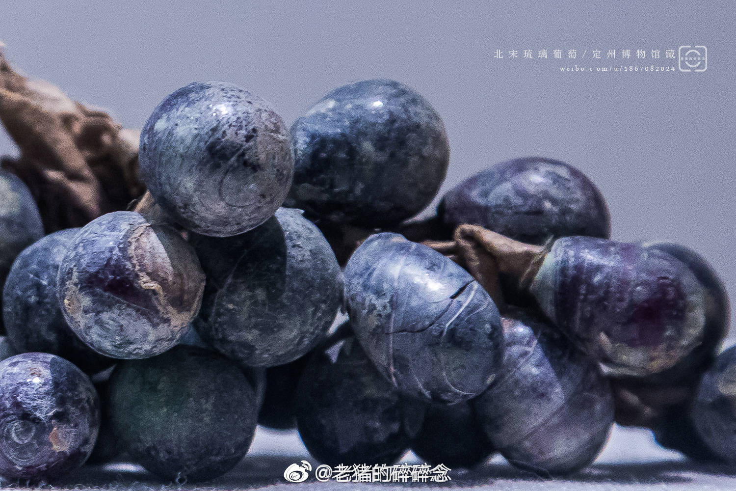 实拍定州北宋琉璃葡萄