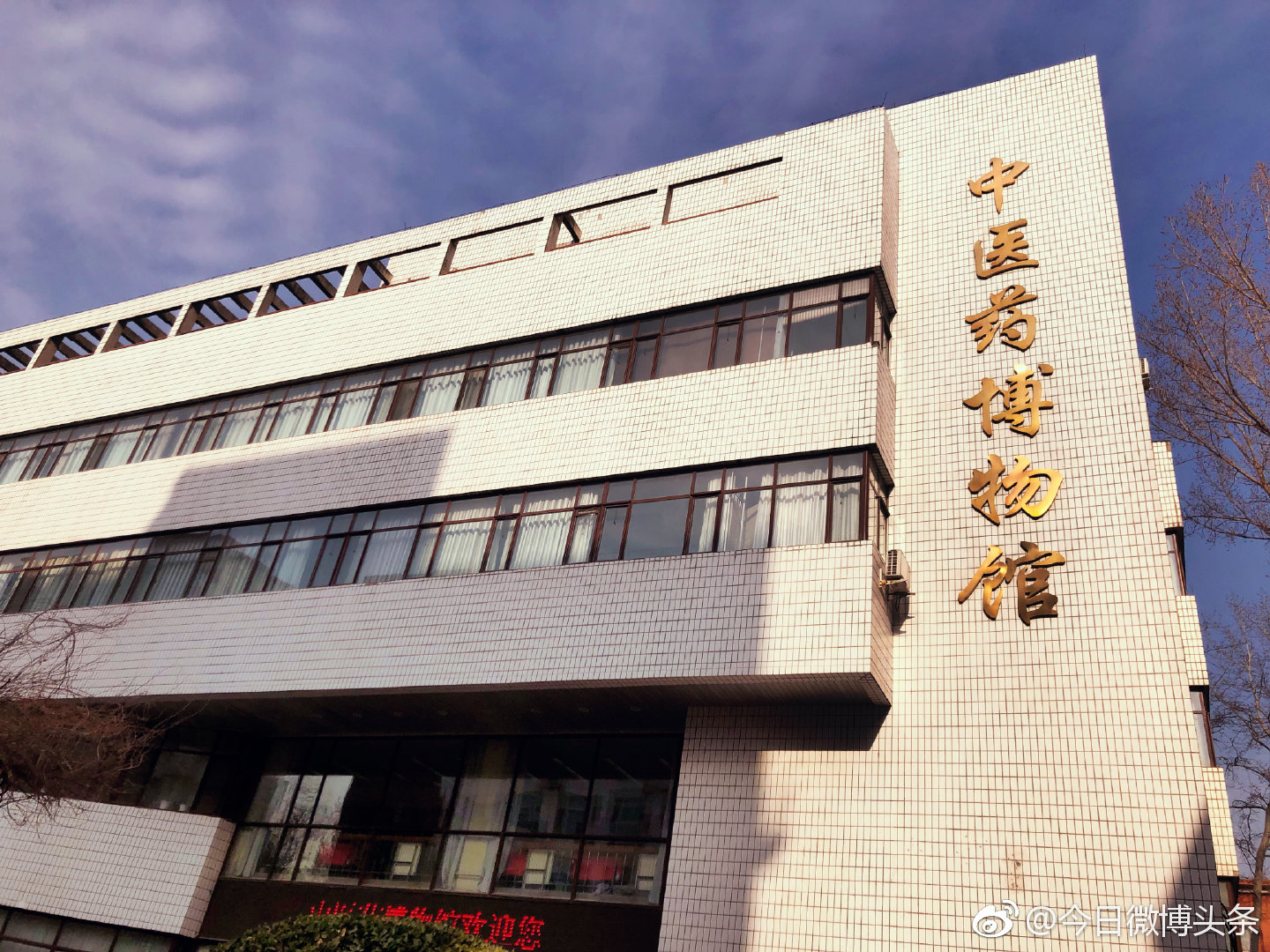 这个坐落在北京中医药大学里的博物馆,汇聚着中药的文化和精华