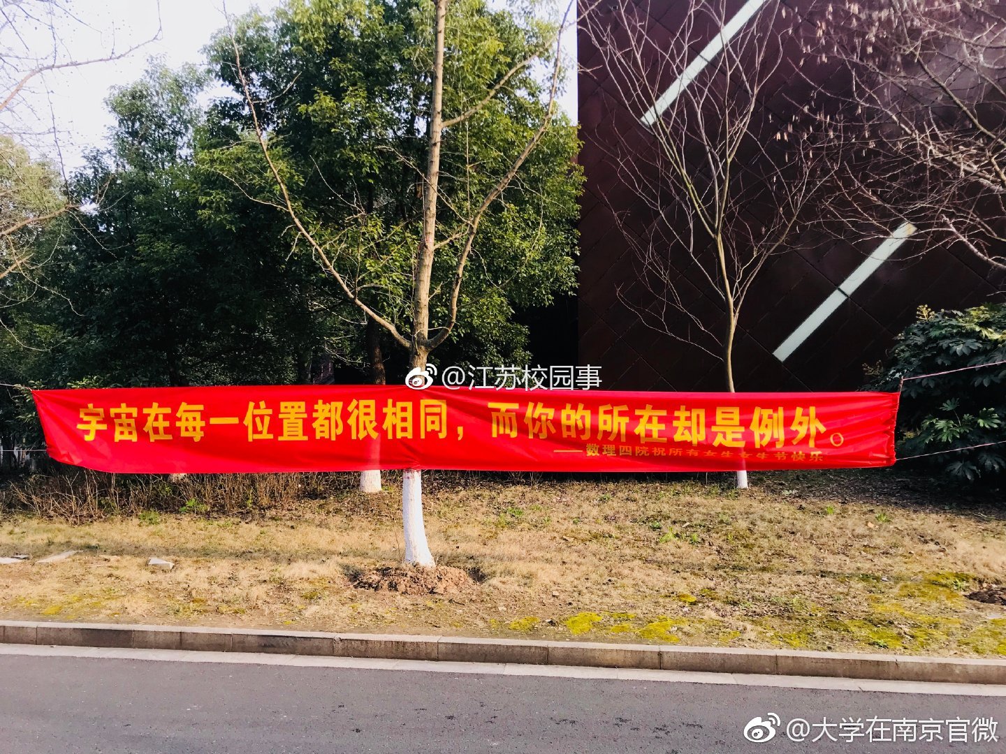 有才的南京大学女生节条幅仿佛看到了单身狗在咆哮图片 | @南京大学