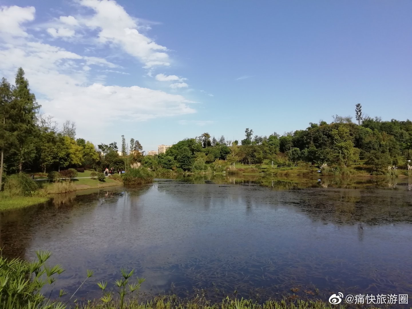 秋高气爽的卧龙湖湿地公园自贡同城浪迹四川自贡在线西秦会馆