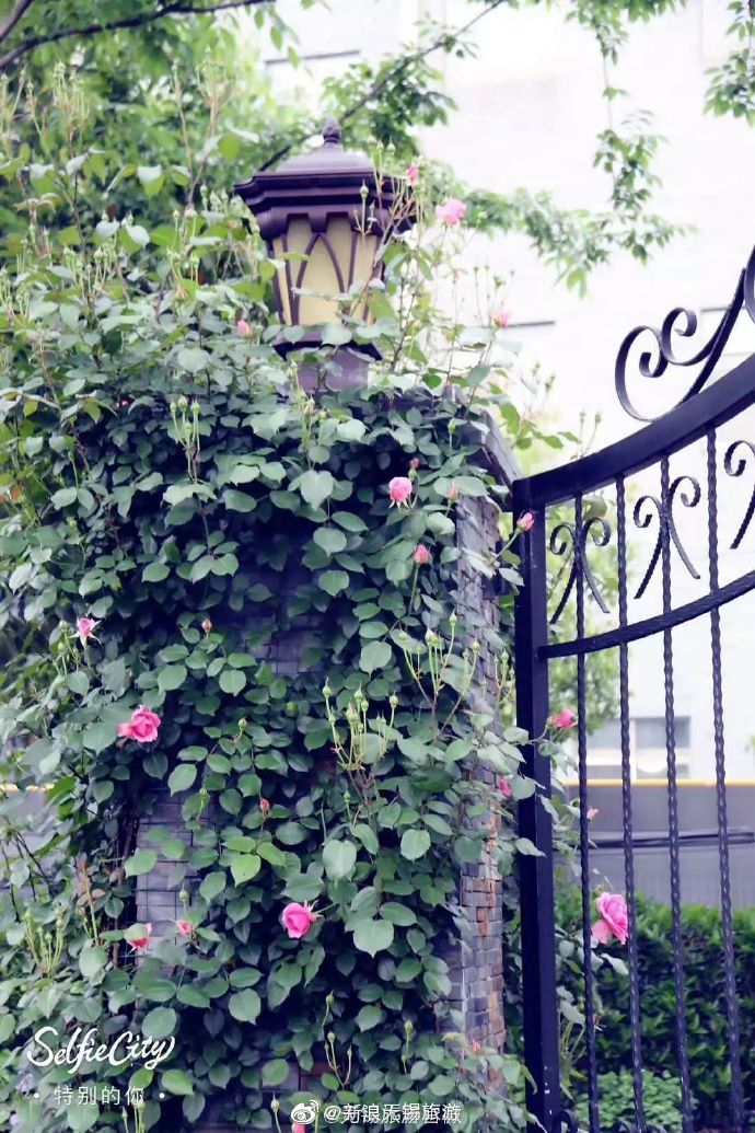 满庭芳郊野花园坐落在李家桥村,位于顾山的西大门