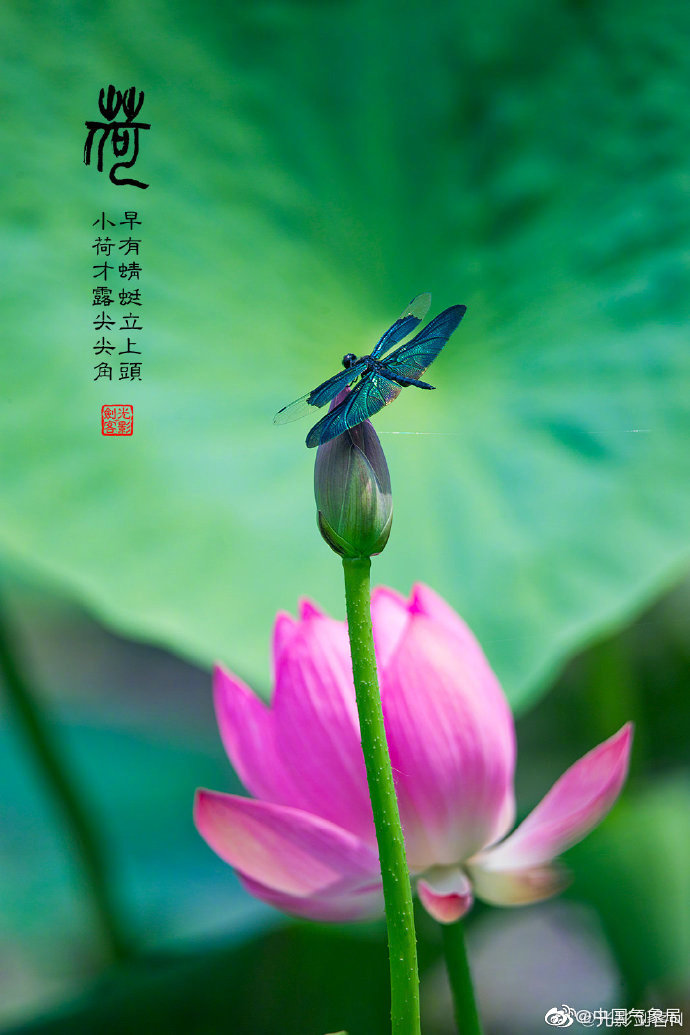 渣女吸引男性的秘密 为什么男人对渣女念念不忘