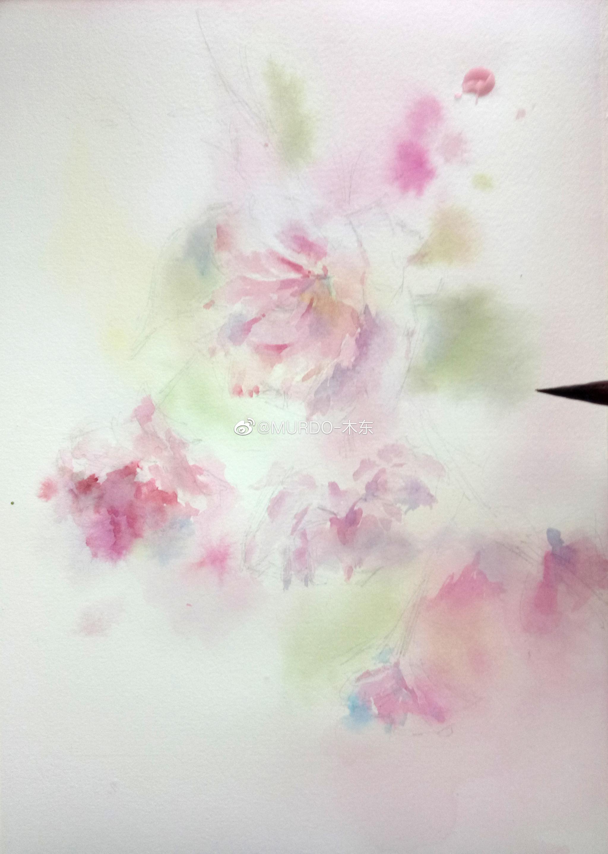 写意樱花,日本晚樱来淡雅一点的 作者(|日本晚樱|写意|樱花_新浪新闻