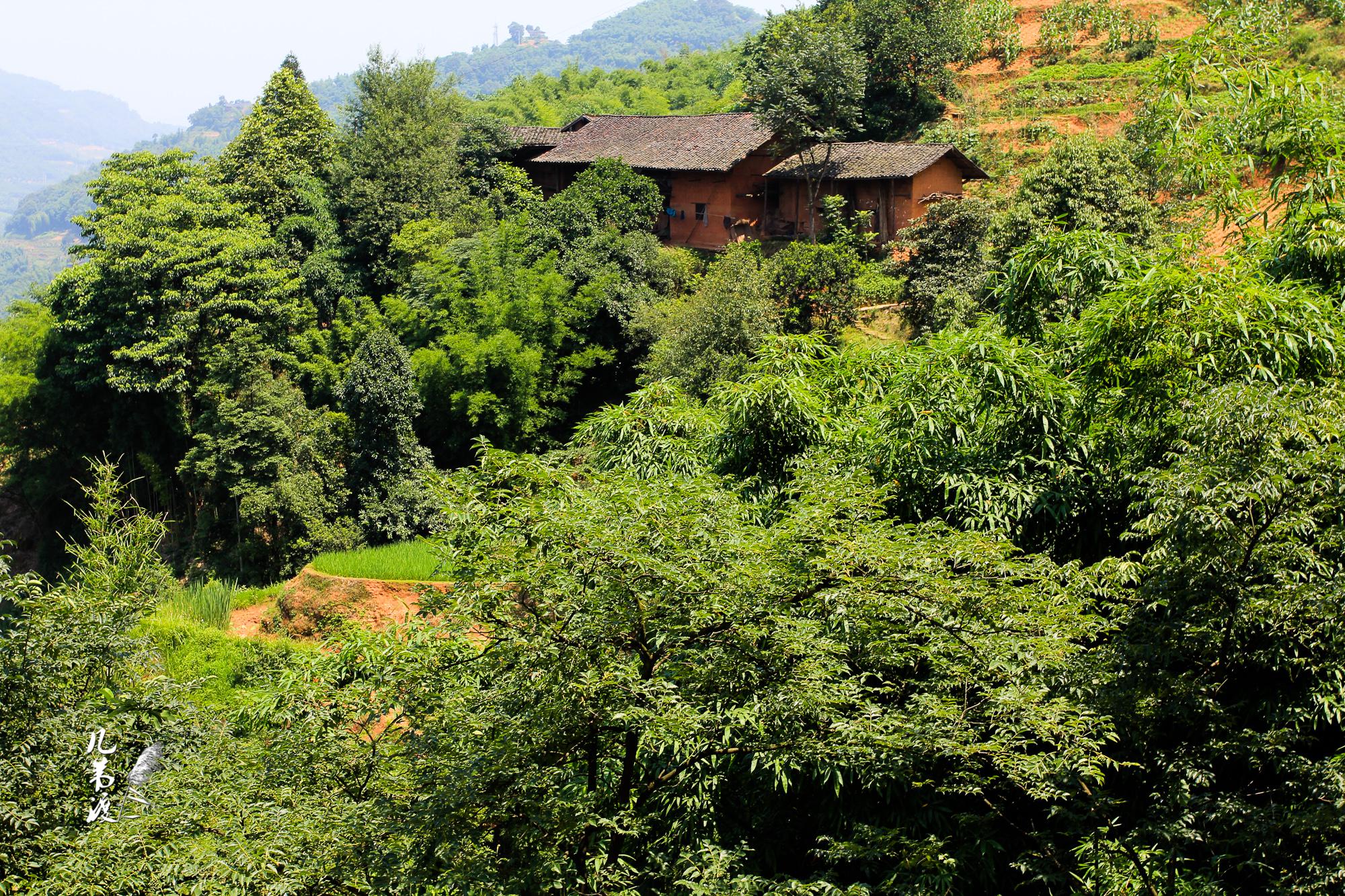 走过一段山顶小路,遇到几处农家|红石野谷|农家|小路_新浪新闻