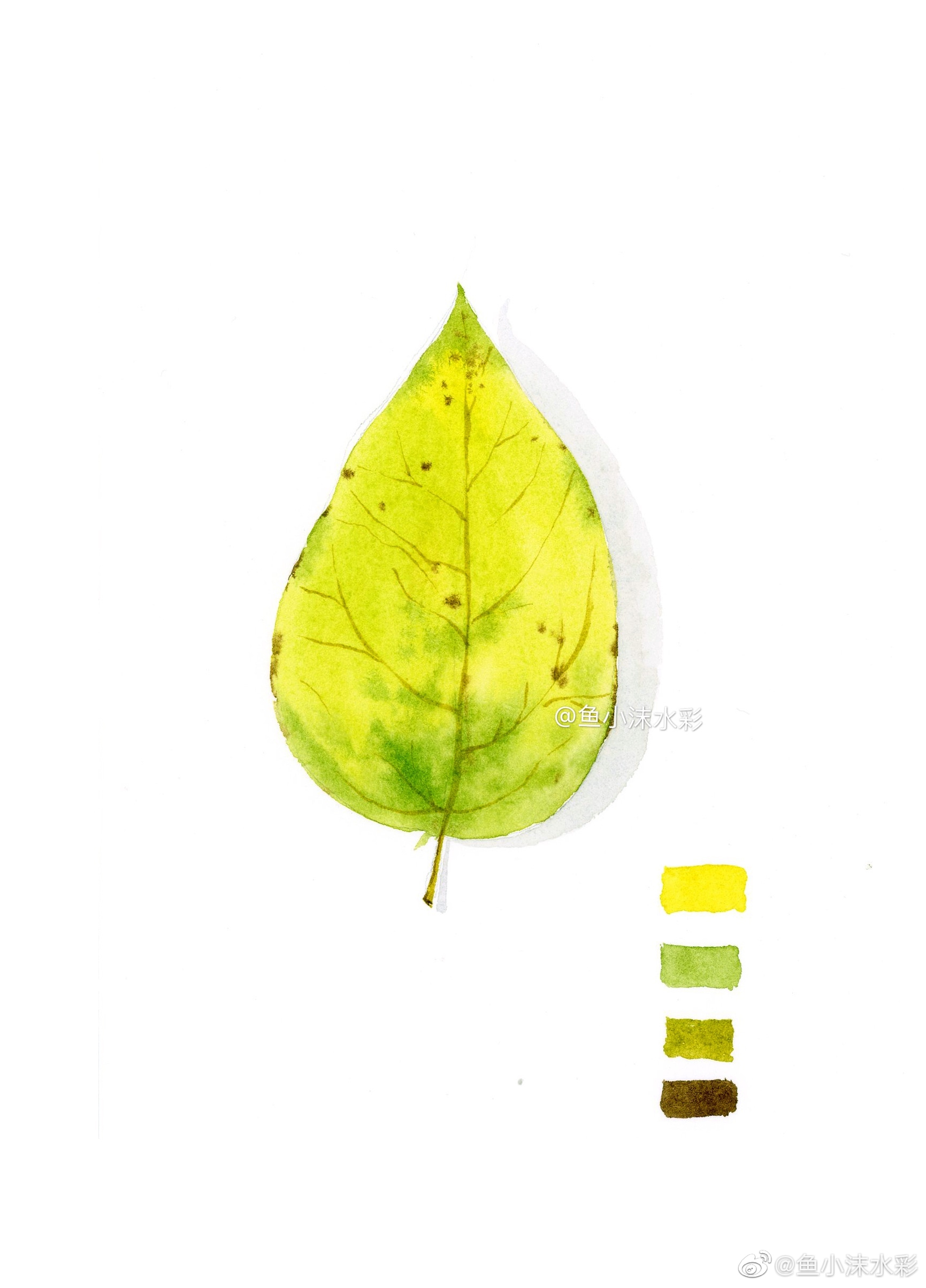 水彩画一画绚丽的树叶,你会喜欢吗